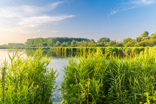 Peaceful Summer Morning in the Harchies Nature Reserve
