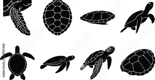 Εκτύπωση καμβά Sea turtle anatomy and marine reptile black silhouette icon set featuring swimmi
