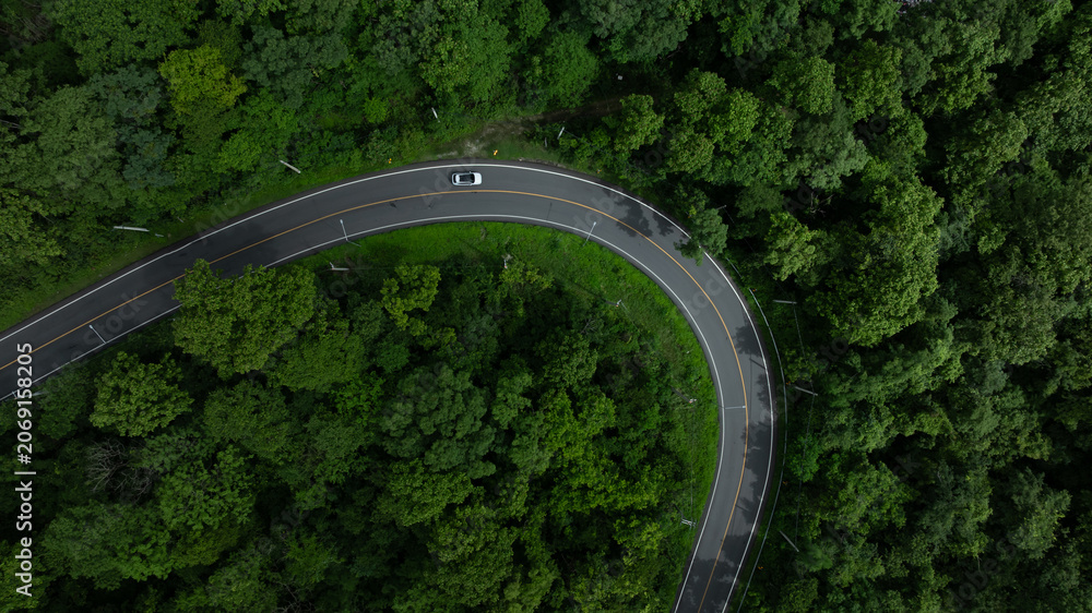 Fototapeta premium Electric vehicle or EV electrical energy for environment on forest road, Sustainable energy transportation, Electric car and EV electric energy for environment.