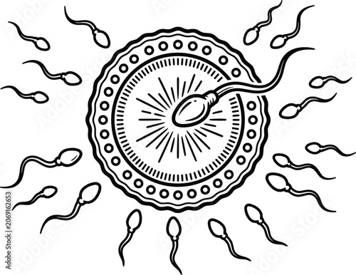 Photos Human fertilization concept illustration, sperm cells surrounding ovum anatomy d
