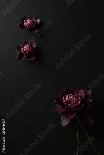Darkly Elegant Floral Arrangement with Three Deep Maroon Blossoms on a Black Background