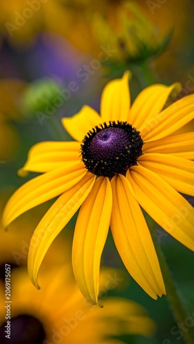 Vibrant yellow flower with dark center macro photography