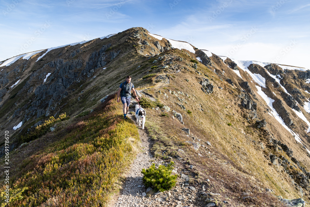 Fototapeta premium man with white dog trekking in the Low Tatras