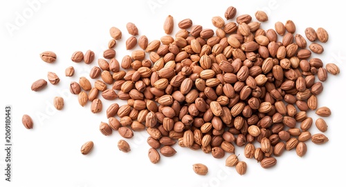 A pile of guarana seeds isolated on a white background, showcasing their � Education and Learning Concept for Academic and Student Success