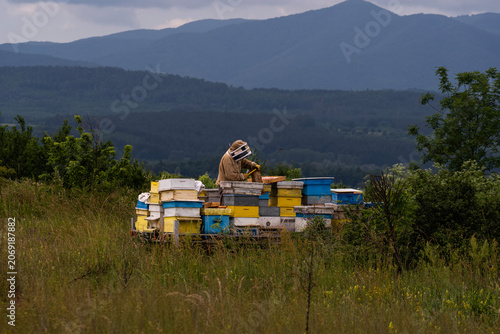 A beekeeper in a white protective suit holds bees and beeswax in a wooden frame.