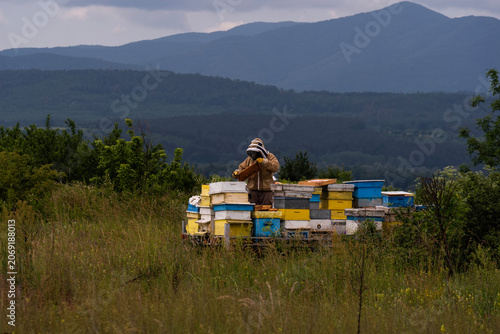 A beekeeper in a white protective suit holds bees and beeswax in a wooden frame.