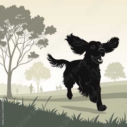 cocker spaniel silhouette running through park with flowing ears vector