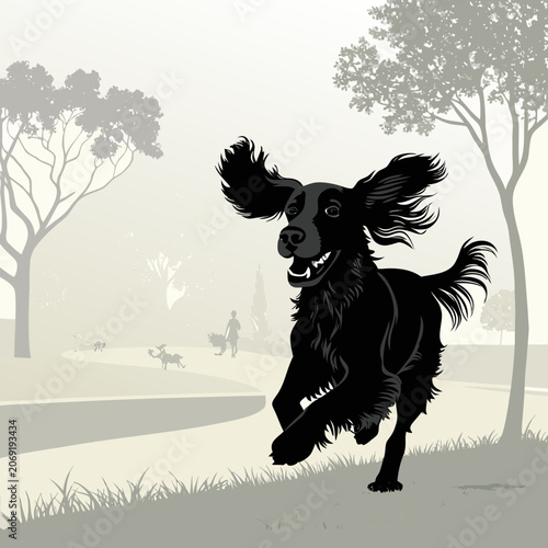 cocker spaniel silhouette running through park with flowing ears vector