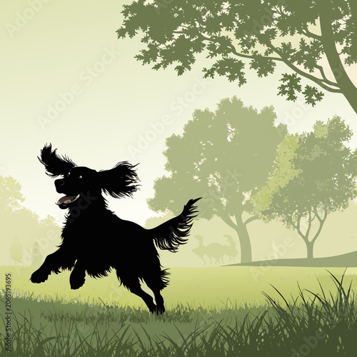 cocker spaniel silhouette running through park with flowing ears vector