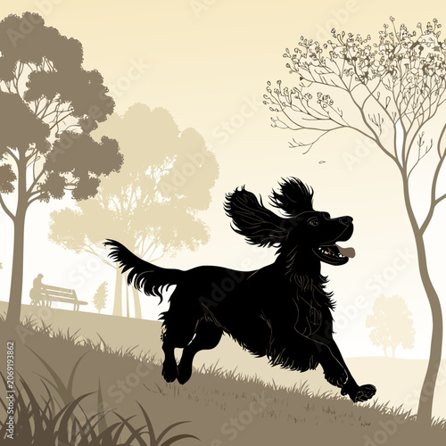 cocker spaniel silhouette running through park with flowing ears vector