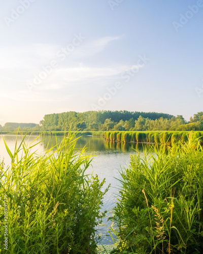 Golden Light Over the Harchies Wetlands, Belgium