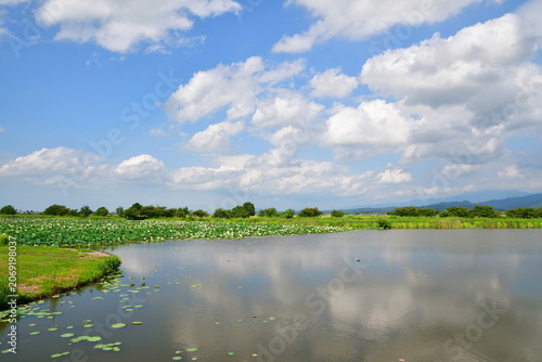 夏の瓢湖と青空の風景（新潟県阿賀野市）