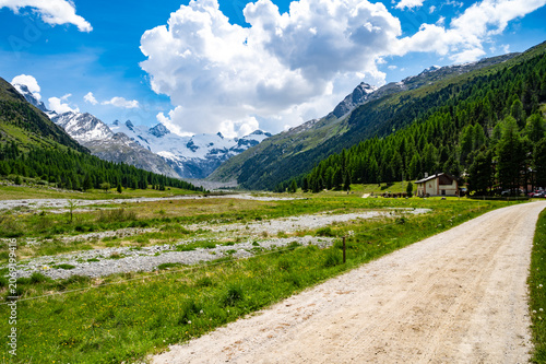 View of the Roseg Valley, photographed in summer, with its glaciers and vegetation.