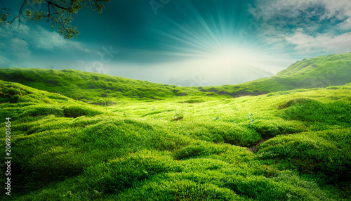 Natural Green Background