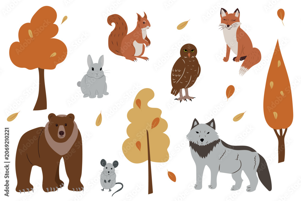 Obraz premium Autumn forest animals set. Cute vector illustration of bear, wolf, fox, squirrel, owl and rabbit isolated on white