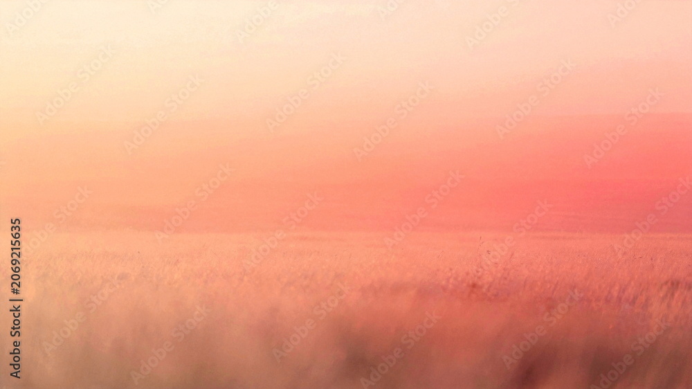 Fototapeta premium Soft focus sunrise over a misty landscape with warm pastel colors.