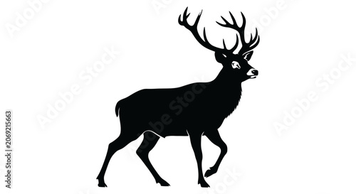 Foto Black silhouette of a majestic male deer with large antlers walking sideways