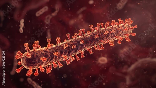 Close up 3D Microscopic View of a Deadly Filovirus Pathogen Structure Floating in a Biological Fluid Environment for Medical Research and Disease Prevention