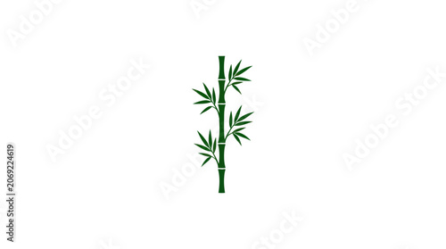 Minimalist Bamboo Stalk Vector Illustration