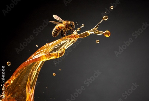Honey splash with bee flying on dark background in dramatic macro scene