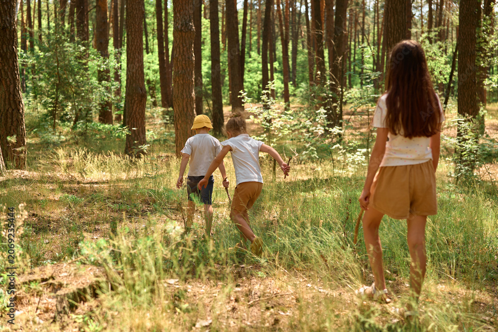 Naklejka premium Three children are walking through a forest, exploring their surroundings on a sunny summer day. They are surrounded by trees and green plants