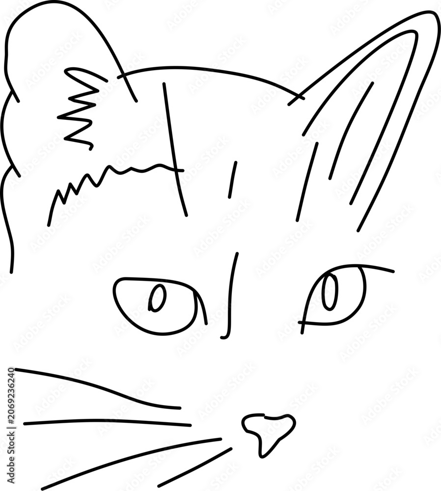 Obraz premium cat with heart