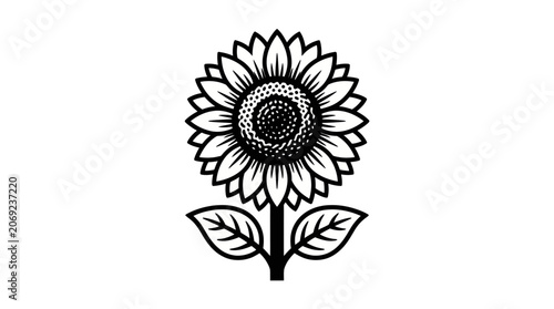 Sunflower Outline Vector Illustration