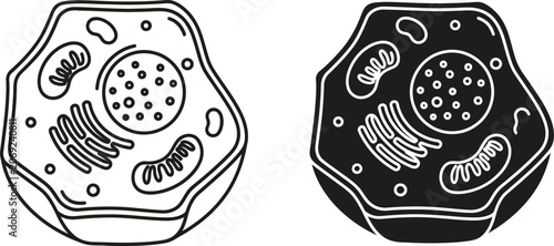 Canvas Print Animal cell diagram with nucleus mitochondria and endoplasmic reticulum in outli