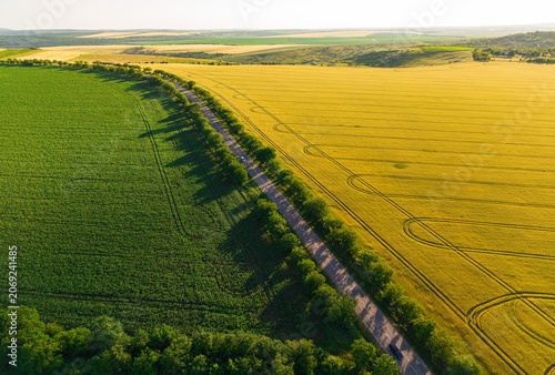 Cuadro en lienzo Summer landscape with rural way from above, drone perspective of green countrysi