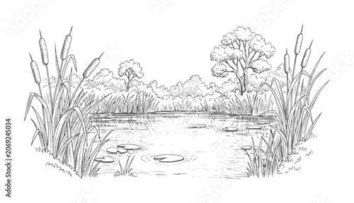 Black and white of a tranquil pond with cattails and lily pads water