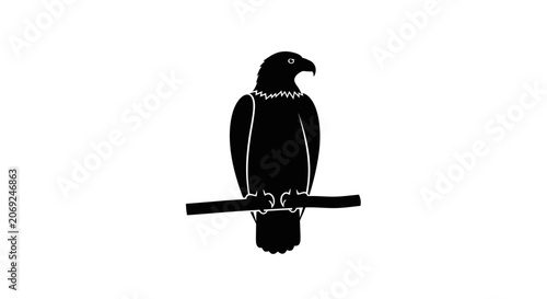 Bald Eagle Perched Silhouette Vector