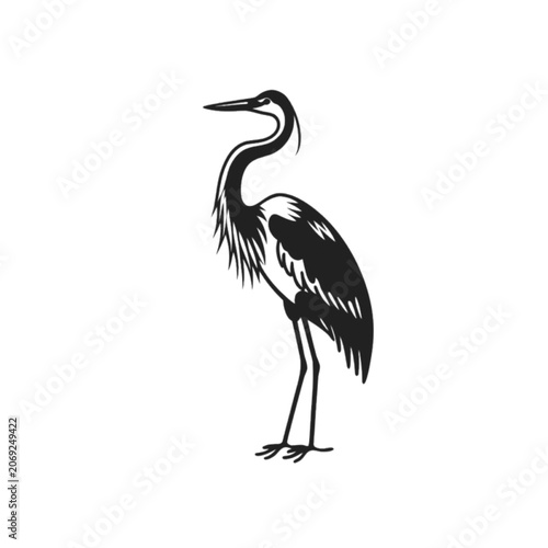 beautiful bird