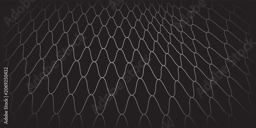 Fishing or soccer net. Repeated hexagon pattern. Black wired mesh texture isolated on white background.ilustrasion modern.
