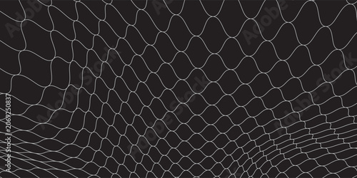 Fishing or soccer net. Repeated hexagon pattern. Black wired mesh texture isolated on white background.ilustrasion modern.