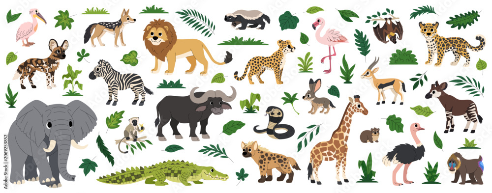Obraz premium Cartoon african animals set, safari wildlife collection, savannah and tropical forest animals, exotic mammals, birds and reptiles, nature and fauna, tropical leaves collection.