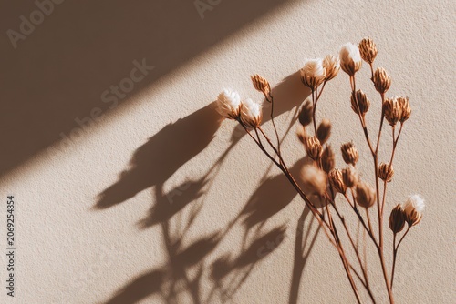 Delicate Dried Flowers Cast Shadows on a Textured Brown Background with Soft Natural Light Creating an Artistic and Serene Atmosphere