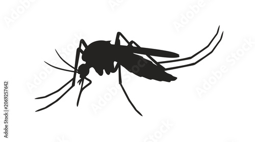 Valokuva Mosquito Silhouette Vector Illustration