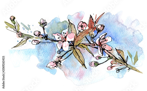 Delicate watercolor branch with blooming pink flowers and buds over soft blue wash. Hand-painted floral illustration for spring cards, invitations, and elegant stationery