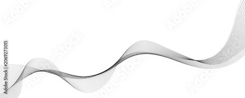 Black Abstract Wave Curves on White Background