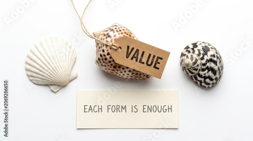 Seashells with value and message tags on white background