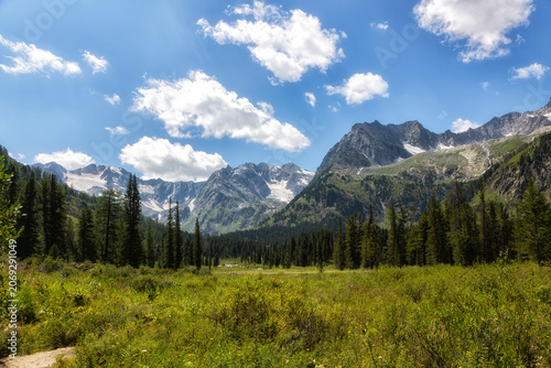 Beautiful summer mountain landscape. Altai, Russia