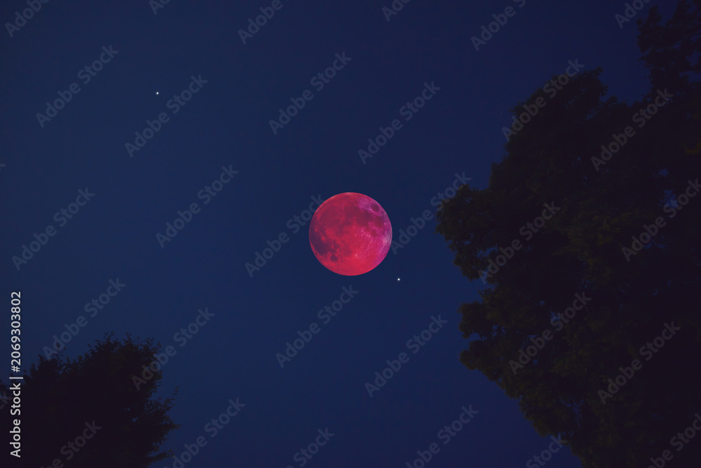 Fototapeta premium Lunar eclipse, stars and planets above landscape silhouettes.