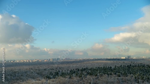 Winter forest panorama with distant city skyline, time lapse. A wide aerial view of a frosty winter forest stretching toward a distant urban skyline under a bright blue sky with soft morning clouds.