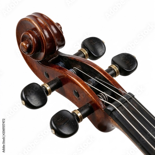 Violin headstock with tuning pegs and strings in detailed view  