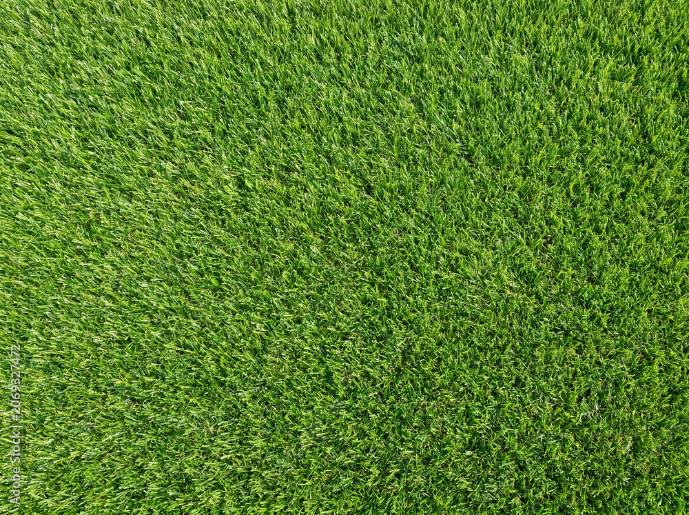 Obraz premium Vibrant and Lush Green Grass Close Up Showcasing Healthy Turf Perfect for Landscaping Projects and Outdoor Activities in Gardens Parks and Recreational Spaces Providing a Natural Feel