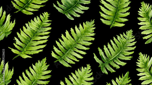 Watercolor fern leaf pattern with lush tropical foliage on black background. Hand painted botanical texture for fabric, wallpaper, wrapping paper and nature inspired design.