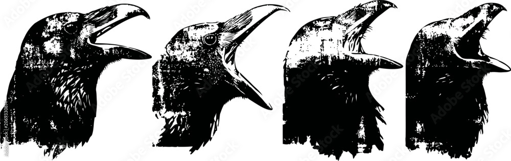 Obraz premium Four raven heads in black silhouette with open beaks showing caws and expressions