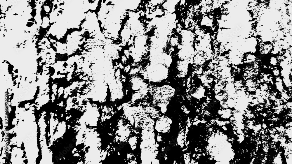 Fototapeta premium Abstract Grunge Black and White Bark Texture Pattern