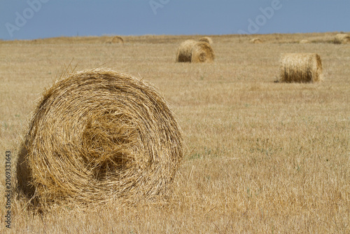 Quadro su tela Rolling hay bales in Messejana, Alentejo, Portugal during the day in a rural lan