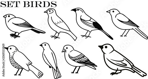 Tableau sur toile Set of eight black and white bird featuring various small songbirds in different